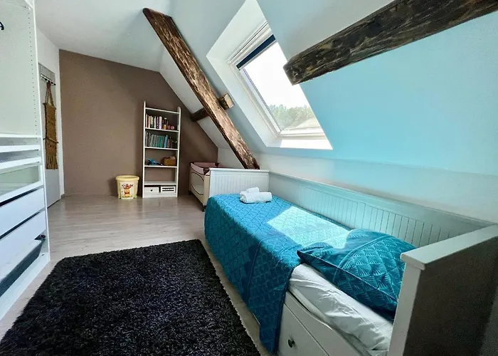 Superbe Duplex A En Alsace Apartment