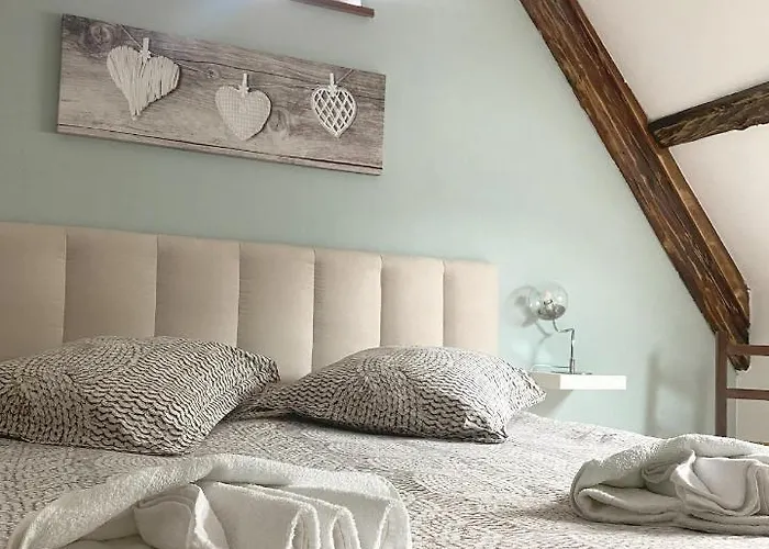 Superbe Duplex A En Alsace *